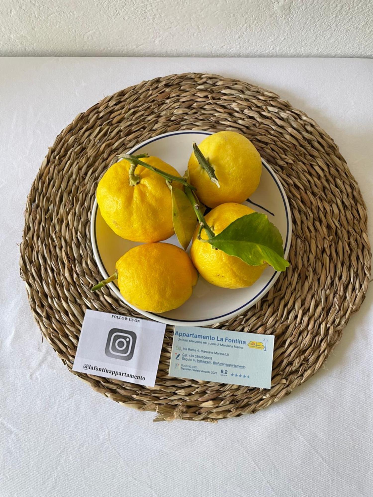 Apartment La Fontina Marciana Marina (Isola d'Elba)